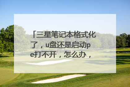 三星笔记本格式化了，u盘还是启动pe打不开，怎么办，，pe加载页面有，加载完就黑屏了，