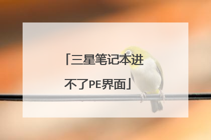 三星笔记本进不了PE界面