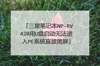 三星笔记本NP-RV420用U盘启动无法进入PE系统直接黑屏