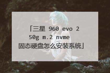 三星 960 evo 250g m.2 nvme 固态硬盘怎么安装系统