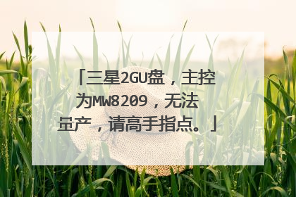 三星2GU盘,主控为MW8209,无法量产,请高手指点。