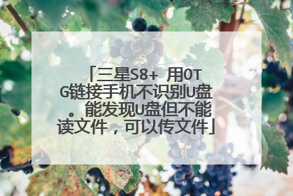 三星S8+ 用OTG链接手机不识别U盘 。能发现U盘但不能读文件,可以传文件