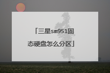 三星sm951固态硬盘怎么分区