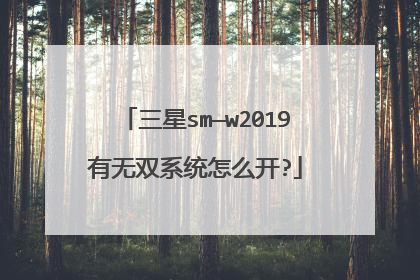 三星sm—w2019有无双系统怎么开?