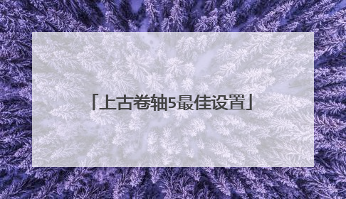 上古卷轴5最佳设置