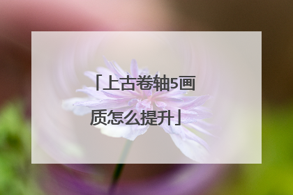 上古卷轴5画质怎么提升