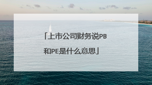 上市公司财务说PB和PE是什么意思