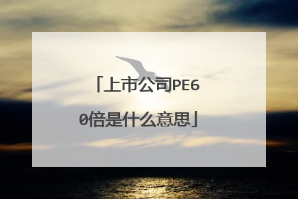 上市公司PE60倍是什么意思