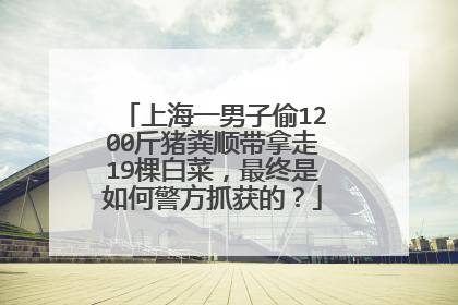 上海一男子偷1200斤猪粪顺带拿走19棵白菜,最终是如何警方抓获的?