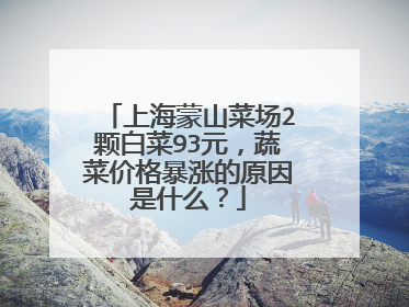 上海蒙山菜场2颗白菜93元,蔬菜价格暴涨的原因是什么?