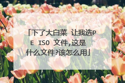 下了大白菜 让我选PE ISO 文件,这是什么文件?该怎么用