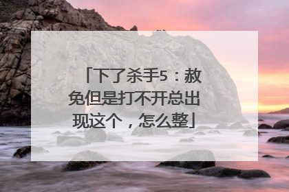下了杀手5:赦免但是打不开总出现这个,怎么整