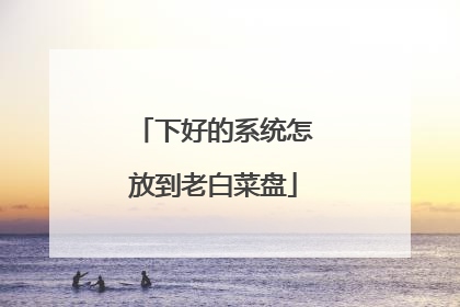 下好的系统怎放到老白菜盘