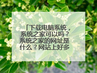 下载电脑系统,系统之家可以吗?系统之家的网址是什么?网站上好多,不知道哪个是真的了