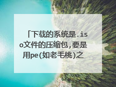 下载的系统是.iso文件的压缩包,要是用pe(如老毛桃)之类的安装系统
