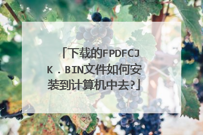 下载的FPDFCJK.BIN文件如何安装到计算机中去?