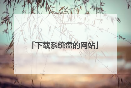 下载系统盘的网站