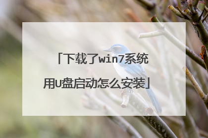 下载了win7系统用U盘启动怎么安装
