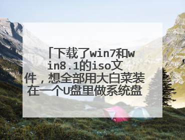 下载了win7和win8.1的iso文件,想全部用大白菜装在一个U盘里做系统盘该怎么做?