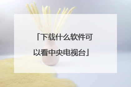 下载什么软件可以看中央电视台
