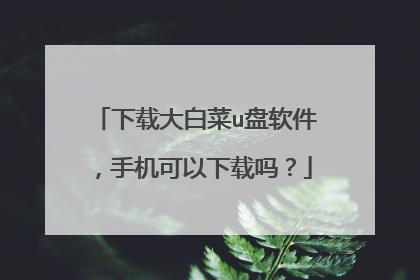 下载大白菜u盘软件,手机可以下载吗?