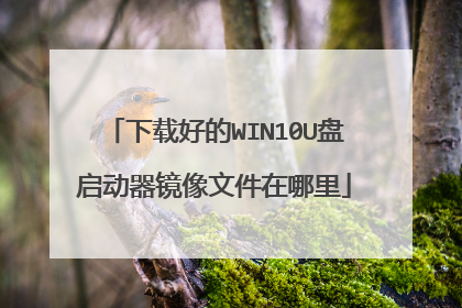 下载好的WIN10U盘启动器镜像文件在哪里