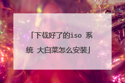 下载好了的iso 系统 大白菜怎么安装