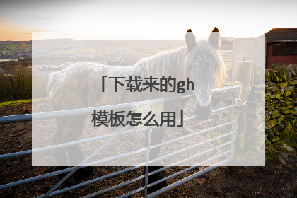 下载来的gh模板怎么用
