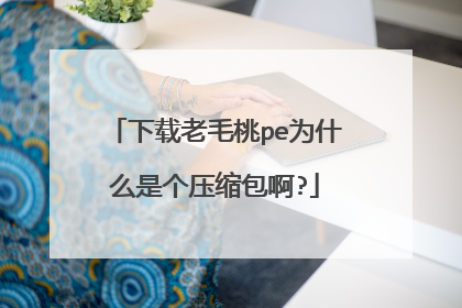 下载老毛桃pe为什么是个压缩包啊?
