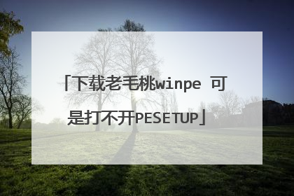 下载老毛桃winpe 可是打不开PESETUP