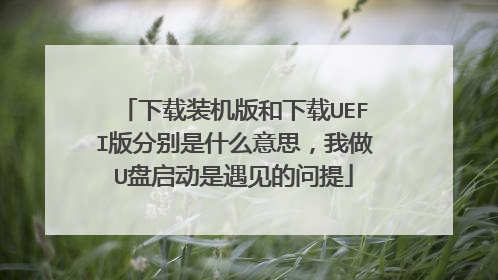 下载装机版和下载UEFI版分别是什么意思,我做U盘启动是遇见的问提