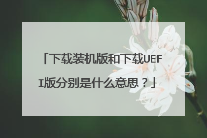 下载装机版和下载UEFI版分别是什么意思?