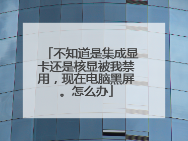 不知道是集成显卡还是核显被我禁用,现在电脑黑屏。怎么办
