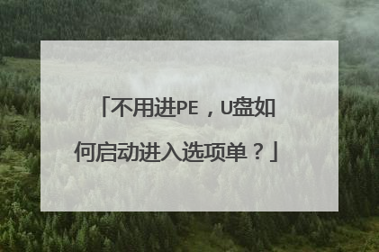 不用进PE，U盘如何启动进入选项单？