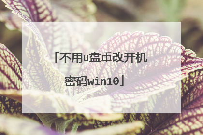 不用u盘重改开机密码win10
