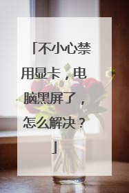 不小心禁用显卡，电脑黑屏了，怎么解决？