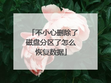不小心删除了磁盘分区了怎么恢复数据