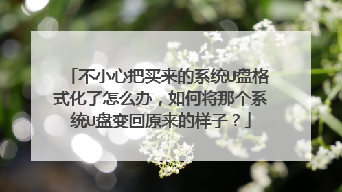 不小心把买来的系统U盘格式化了怎么办,如何将那个系统U盘变回原来的样子?