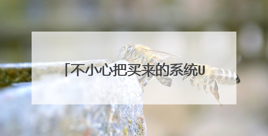 不小心把买来的系统U盘格式化了怎么办,请问怎么将那个系统U盘变回原来的样子呢?