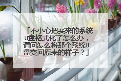不小心把买来的系统U盘格式化了怎么办，请问怎么将那个系统U盘变回原来的样子？