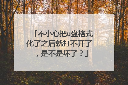不小心把u盘格式化了之后就打不开了，是不是坏了？