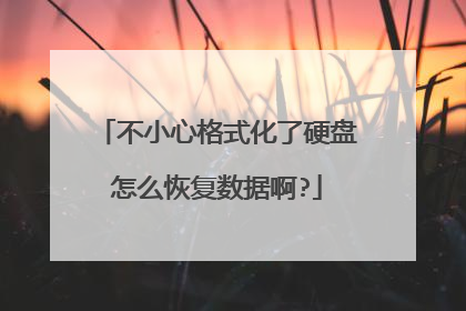 不小心格式化了硬盘怎么恢复数据啊?
