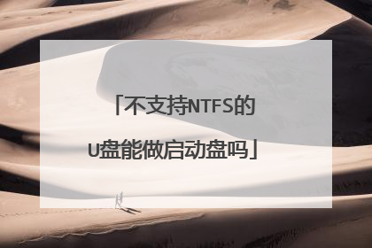 不支持NTFS的U盘能做启动盘吗