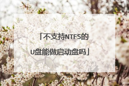 不支持NTFS的U盘能做启动盘吗
