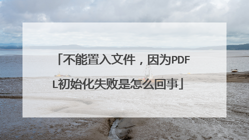 不能置入文件,因为PDFL初始化失败是怎么回事