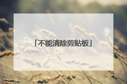 不能清除剪贴板