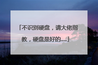 不识别硬盘,请大佬指教,硬盘是好的……