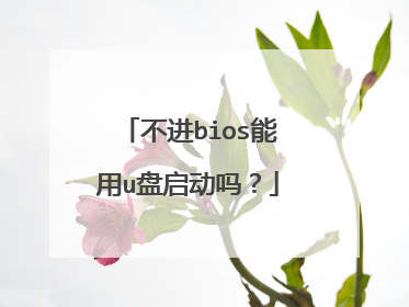 不进bios能用u盘启动吗?