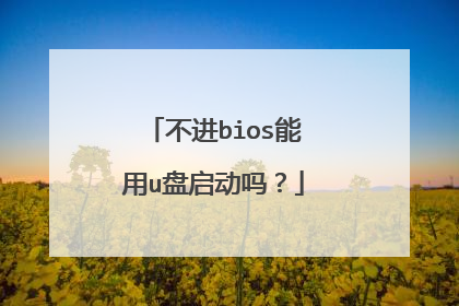 不进bios能用u盘启动吗?