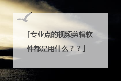 专业点的视频剪辑软件都是用什么??